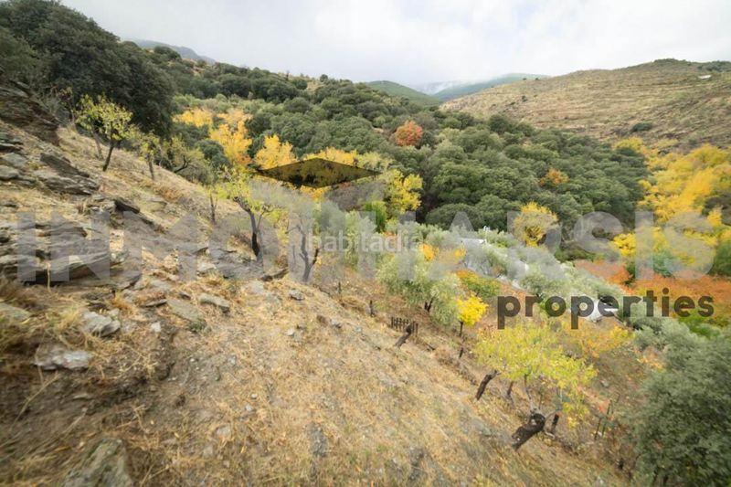 Foto 1b63ab77-f6a5-4bf3-9815-bab84d148600. Casa amb aparcament a Abrucena