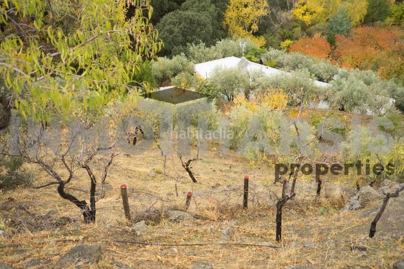 Foto 1f6507ee-5202-4622-893a-104cc97b2d80. Casa amb aparcament a Abrucena