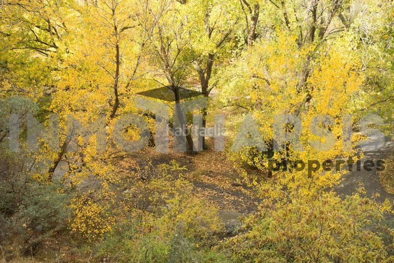 Foto 237139c0-b2e2-42bd-a8e9-a4dd3f932717. Casa amb aparcament a Abrucena