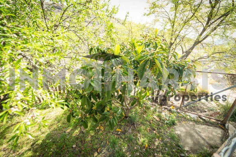 Foto 314d9f0d-92f3-4ab3-89eb-3ea43d347e2c. Casa amb aparcament a Abrucena