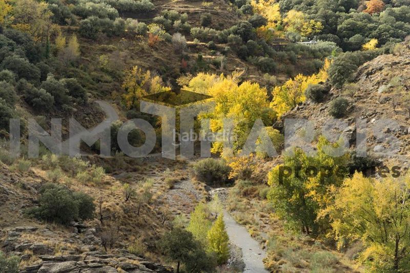 Foto 46dde08e-94cb-49d7-8e64-17fa54d64f65. Casa amb aparcament a Abrucena
