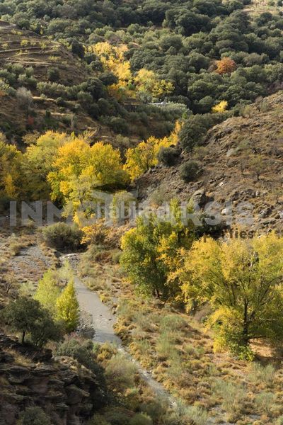 Foto 6dd8c43c-8bbc-4379-8425-b722f19bd070. Casa amb aparcament a Abrucena