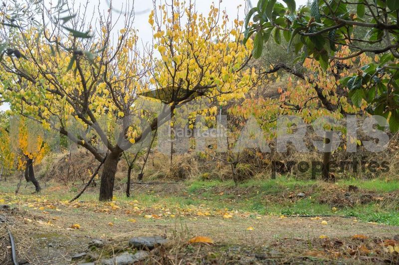Foto 7e63d598-071c-4b70-a485-793ffcc7a34c. Casa amb aparcament a Abrucena