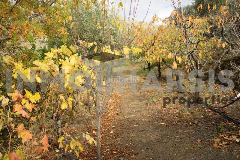 Foto 85d4c098-e2aa-45f6-92c4-dd9649e7e3d2. Casa amb aparcament a Abrucena