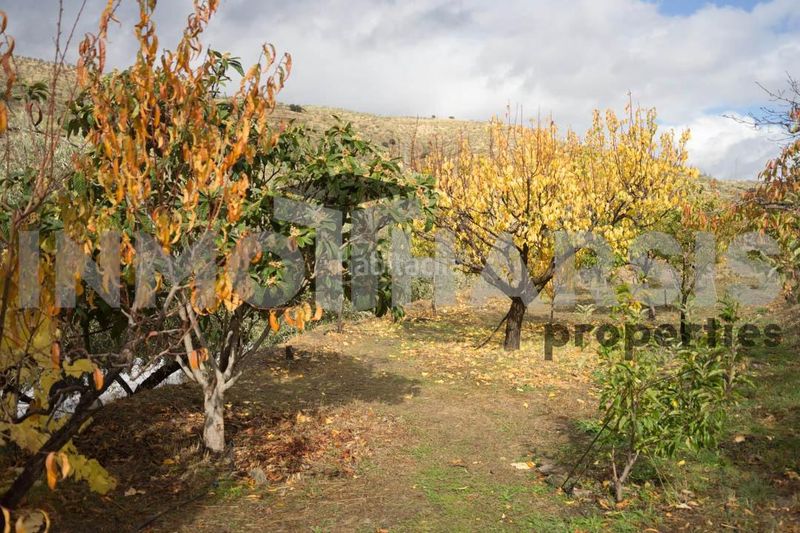 Foto 916d4b42-0e2c-4228-9084-006910d68210. Casa amb aparcament a Abrucena