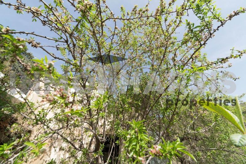 Foto f84fefe9-4886-4f39-b3e7-0fc74326a242. Casa amb aparcament a Abrucena