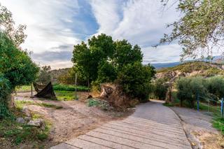 Terreno residencial en Alcolea. Finca con huerto, olivos y frutales en alcolea