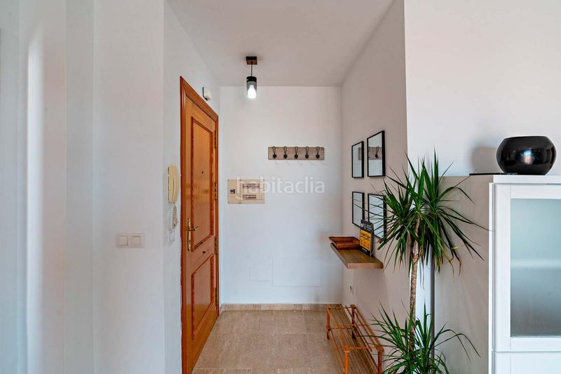 Foto a44e5503-9b03-4f62-b1f5-ecb52024af33. Pis a Ejido Sur Ejido (El)