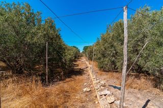 Wohngrundstück in Plaza de la Luz. Finca rústica en el ejido junto al poligono ciavieja