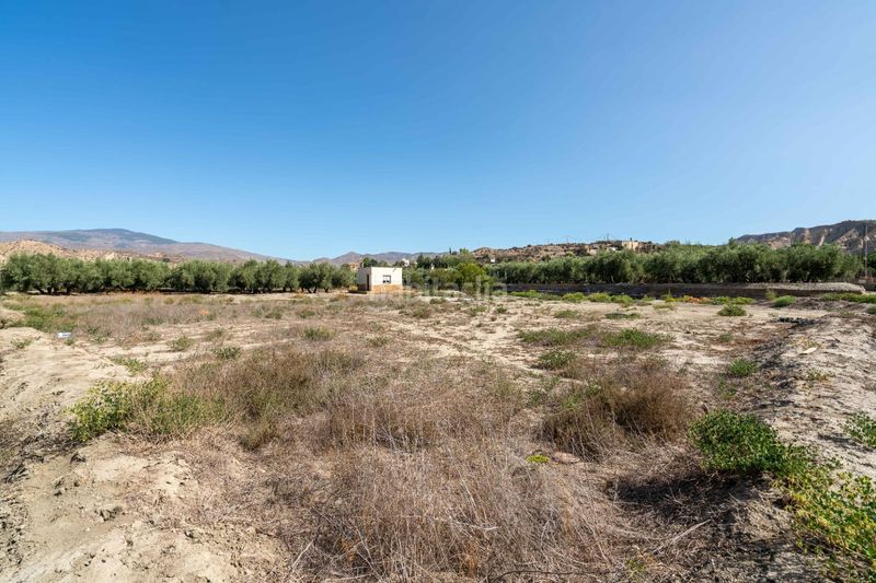 Foto 6e0f2c87-4bb6-4de9-b94c-3301d08f5903. Terreny residencial a Alsodux
