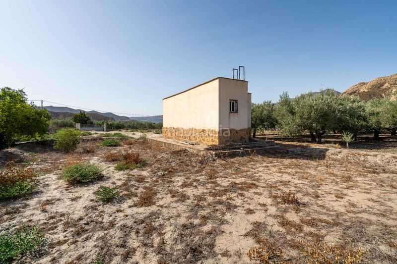 Foto 82db9c82-552f-4d85-afd8-26e4f6514692. Terreny residencial a Alsodux