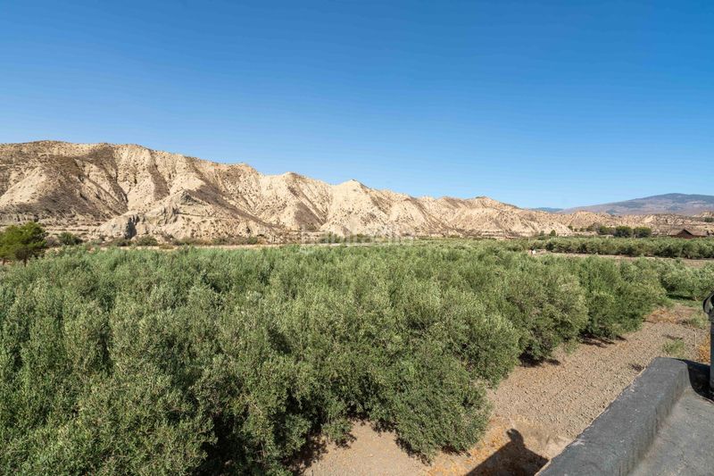 Foto 8f1860c5-6625-4c9c-b0ce-85eee6b43177. Terreny residencial a Alsodux