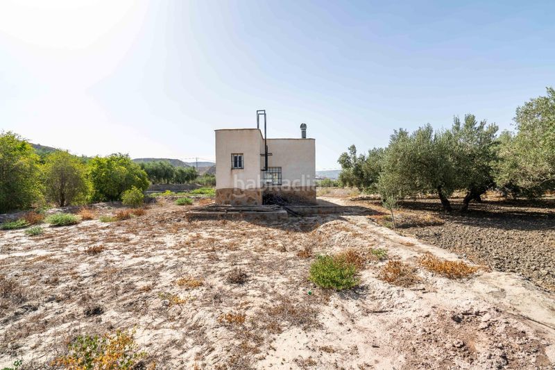 Foto b43869ea-73d8-49b8-8259-7ad461c9ac0f. Terreny residencial a Alsodux