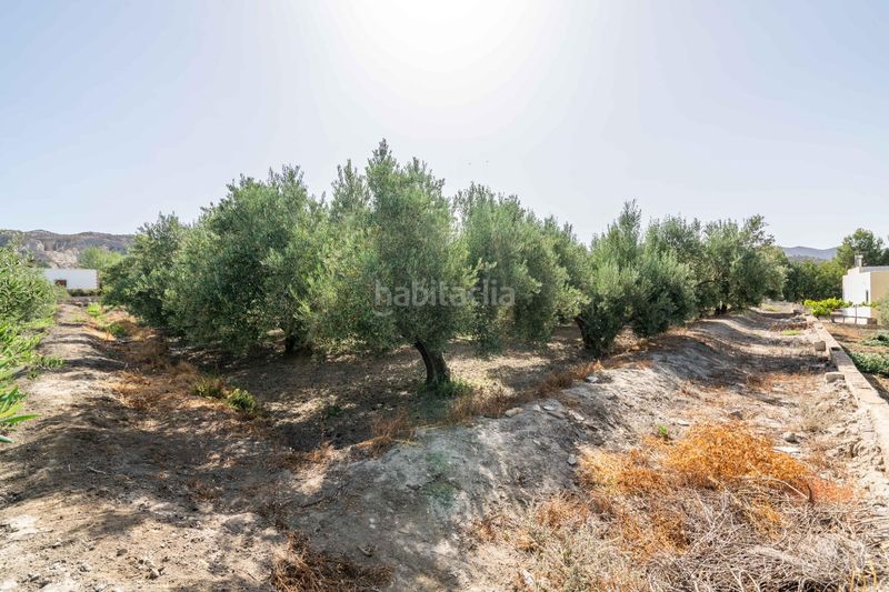 Foto be9e632f-fc15-45bd-abd3-8db3397b4d55. Terreny residencial a Alsodux