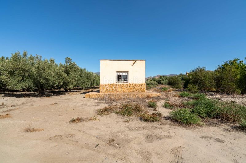 Foto d910d111-d28b-42b3-94d6-cca58b377009. Terreny residencial a Alsodux