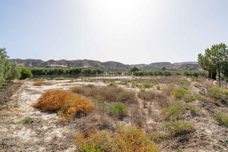 Foto f0a30bc5-e429-489b-9ddc-54d0ad8c6449. Terreny residencial a Alsodux