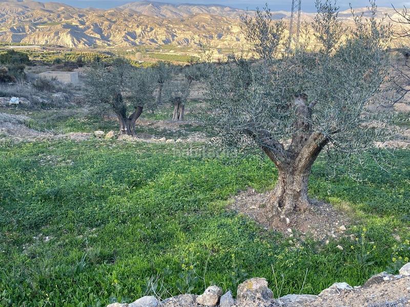 Foto 4ea52632-6cd5-4a10-ab16-89937af1b647. Finca rústica terreno con vistas en illar en Íllar