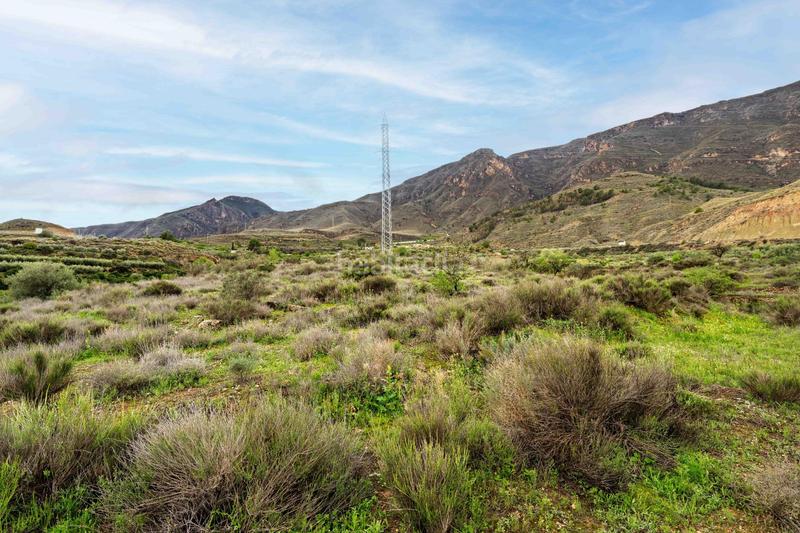 Foto c4e773c3-4d1f-4685-af9d-d6fbf4d0e286. Finca rústica terreno con vistas en illar en Íllar