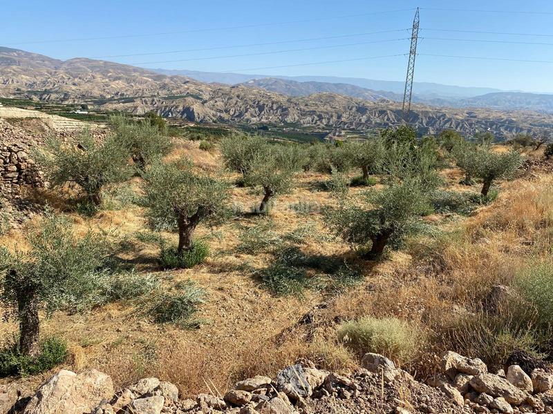Foto c6460e8d-8a14-4bb7-8d0e-b02a0930f1c8. Finca rústica terreno con vistas en illar en Íllar