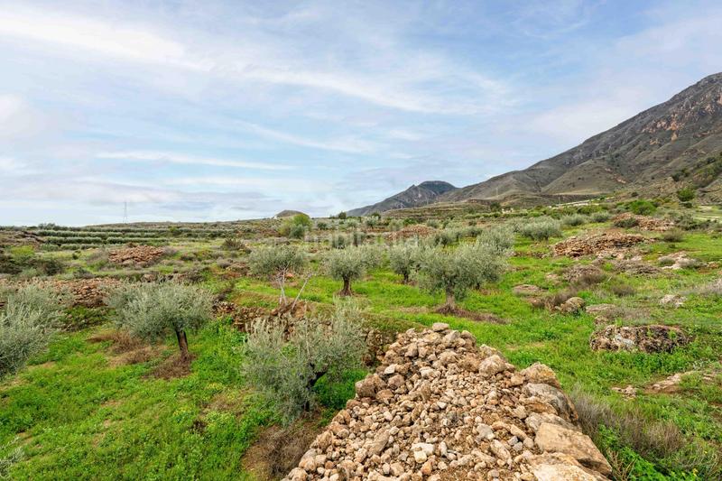 Foto d80732a6-5855-440d-adfc-acb6862c4834. Finca rústica terreno con vistas en illar en Íllar