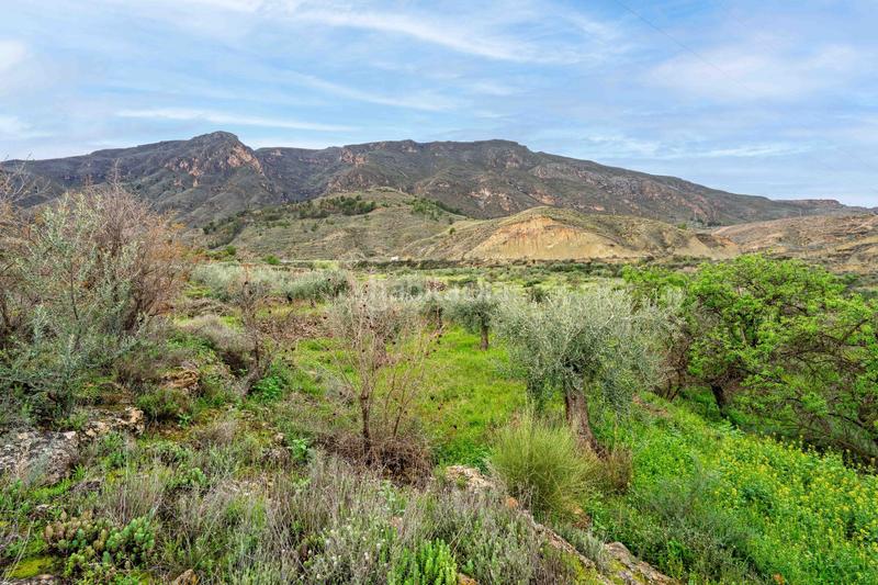 Foto e1d9da6f-875b-446e-a5f8-8f72fec8d4aa. Finca rústica terreno con vistas en illar en Íllar