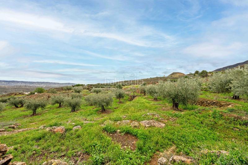 Foto eaaeb024-8838-46e4-baf3-a1d91b2ed952. Finca rústica terreno con vistas en illar en Íllar