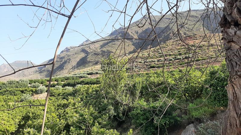 Foto 572f0ce9-5e04-4c0f-8748-c28256076204. Finca rústica finca con producción de naranjas y vistas al valle del andarax en Íllar