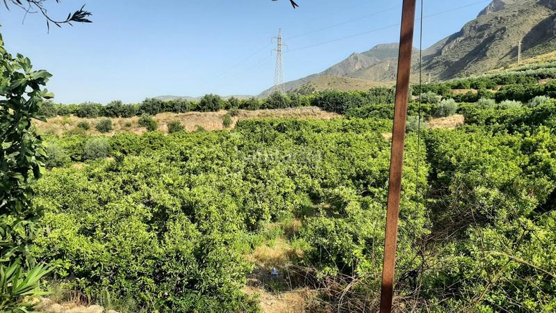 Foto 57dd4ef5-98af-40f7-bf2e-02b795b5afc9. Finca rústica finca con producción de naranjas y vistas al valle del andarax en Íllar