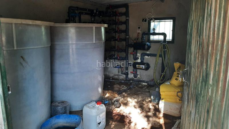 Foto 5f8c77f3-ae6b-48d2-8aee-e06d8b6cc364. Finca rústica finca con producción de naranjas y vistas al valle del andarax en Íllar