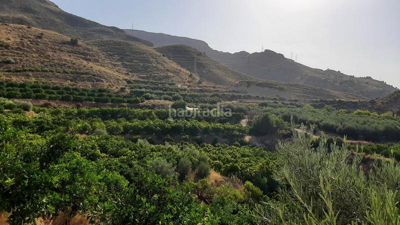 Foto a920bbd7-4880-4776-81c1-d0ea5068de0e. Finca rústica finca con producción de naranjas y vistas al valle del andarax en Íllar