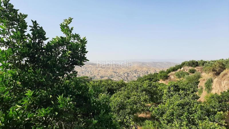 Foto d3f686b2-3d7d-468d-a4fd-d29fa716a9d6. Finca rústica finca con producción de naranjas y vistas al valle del andarax en Íllar