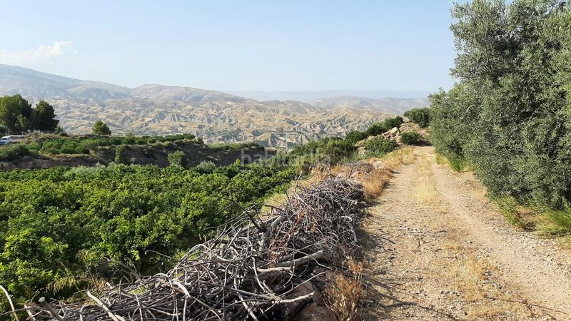 Foto e0b309f4-b911-425f-abee-59eb9950edff. Finca rústica finca con producción de naranjas y vistas al valle del andarax en Íllar