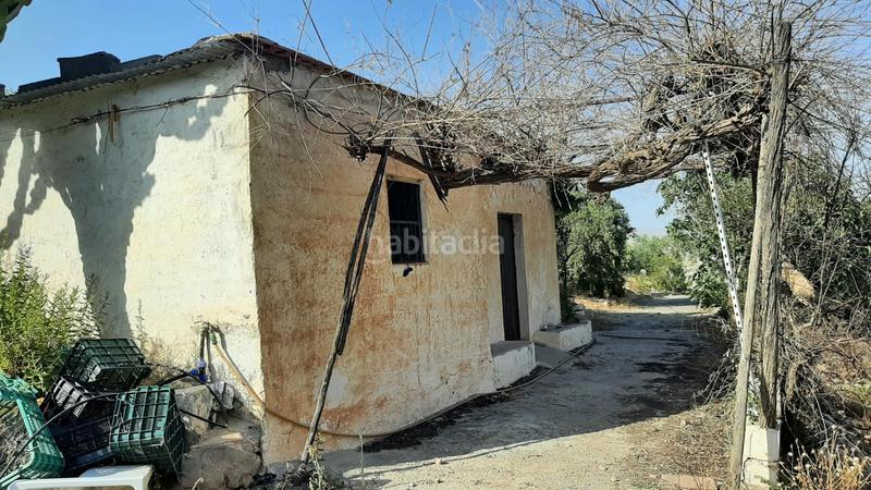 Foto fdeddf34-4d0b-4a98-9001-04d3211e6cc6. Finca rústica finca con producción de naranjas y vistas al valle del andarax en Íllar