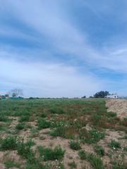 Propriété à Palacios y Villafranca (Los). Camino de rosalejo