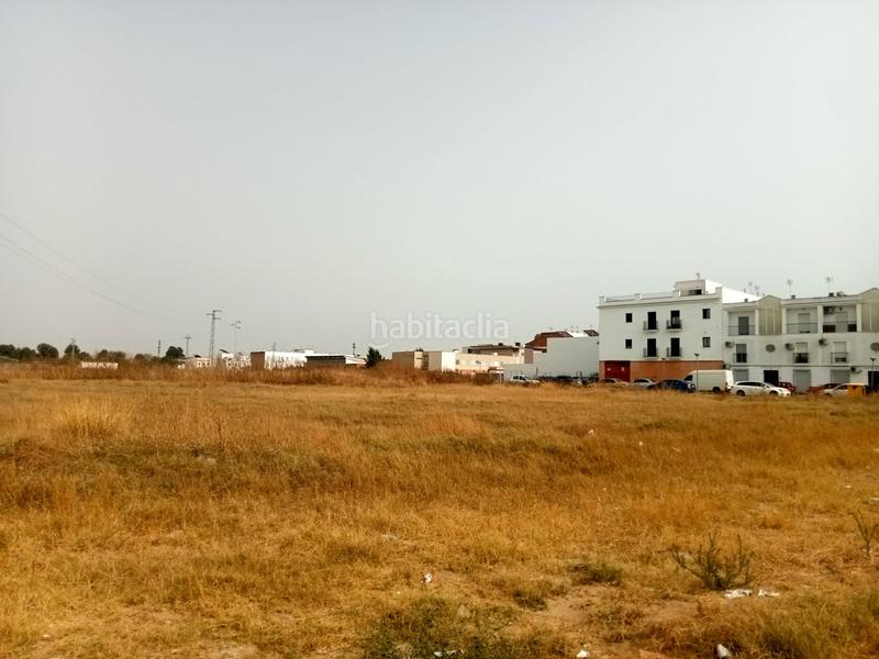 Foto 257315e3-e41a-4824-82ce-2fc5bbd31d1b. Terreno residencial se vende en Palacios y Villafranca (Los)
