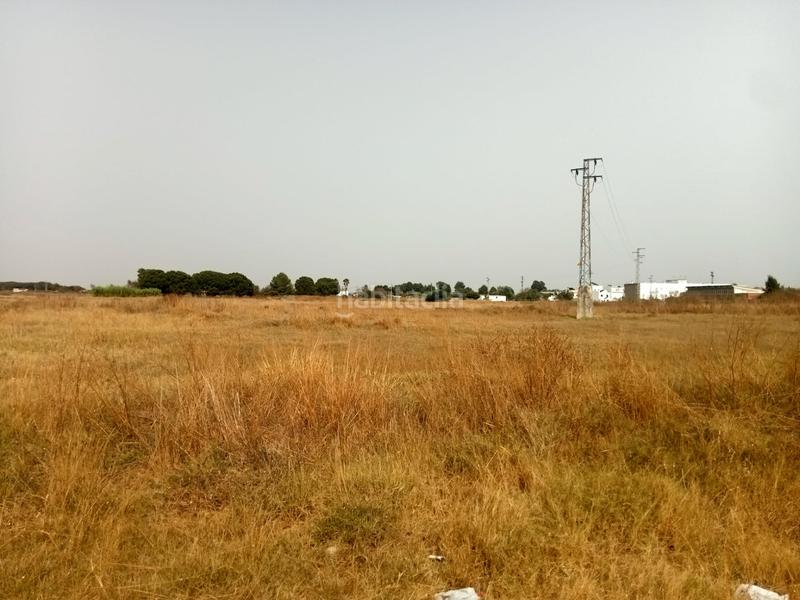 Foto 322f6d00-9df9-4ffa-94e6-2815f892a5ef. Terreno residencial se vende en Palacios y Villafranca (Los)
