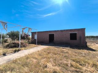 Rural plot in Palacios y Villafranca (Los). Venta de finca en los palacios