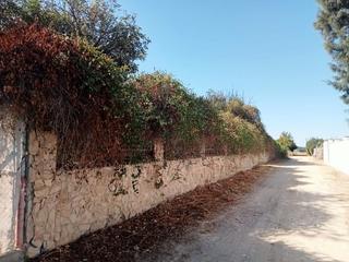 Rural plot in Pedanías Norte. Venta de parcela en utrera