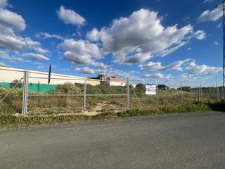 Finca rústica  Camino de la puya. Se vende finca independiente