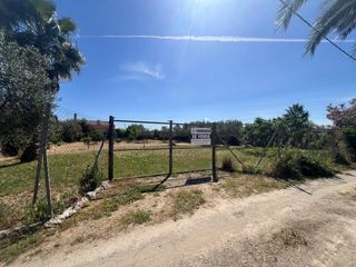 Fondo rustico  Calle joaquín romero murube. Venta de parcela en la espartalera