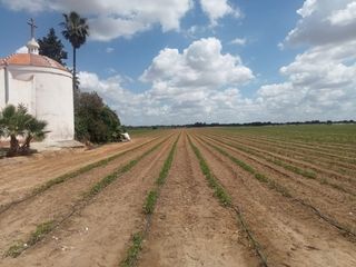 Finca rústica a Palacios y Villafranca (Los). Venta de parcela en los palacios