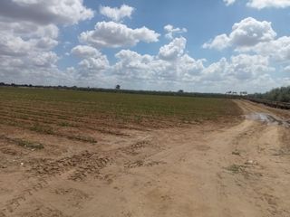 Finca rústica en Palacios y Villafranca (Los). Venta de parcela en los palacios