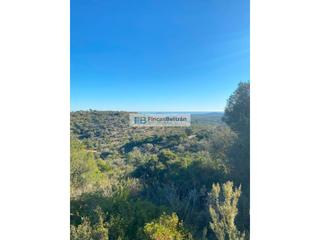 Finca rústica  36, parcela 240. Finca rustica con pozo propio y magníficas vistas al mar