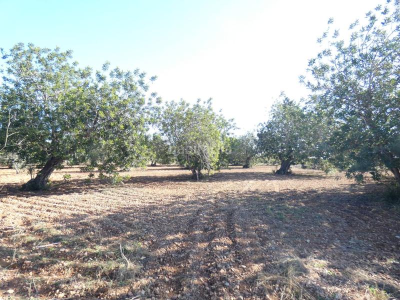 Foto 12e98a80-d2f6-47e6-a089-e3df7bb238d7. Propriété dans Pueblo Benicarló