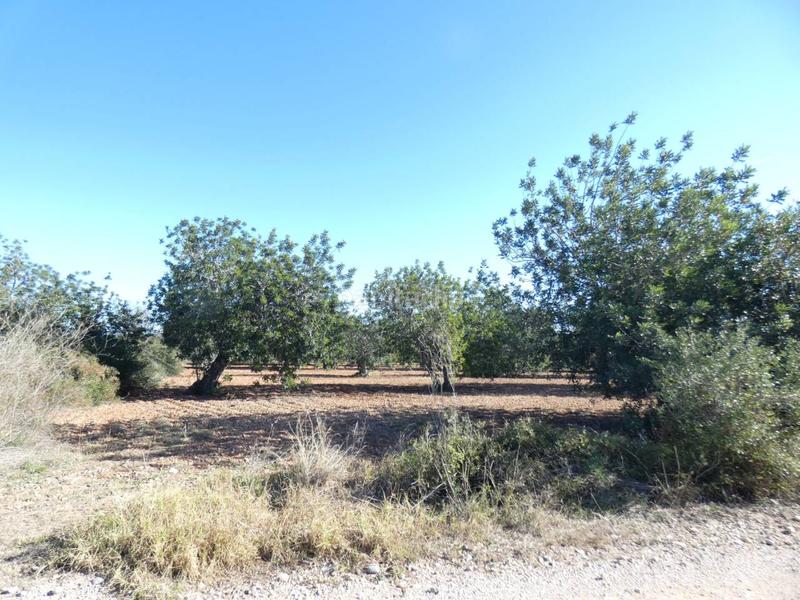 Foto 5a56147c-53d5-40ea-9485-208577be3d29. Propriété dans Pueblo Benicarló