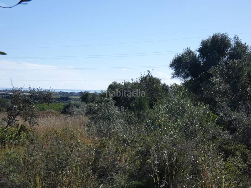 Foto 83de7ecf-8473-4f8d-82a8-1b012309da8a. Finca rústica a Pueblo Benicarló