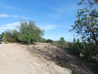Finca rústica  Poligono 36. Terreno en venta en cervera del maestre!