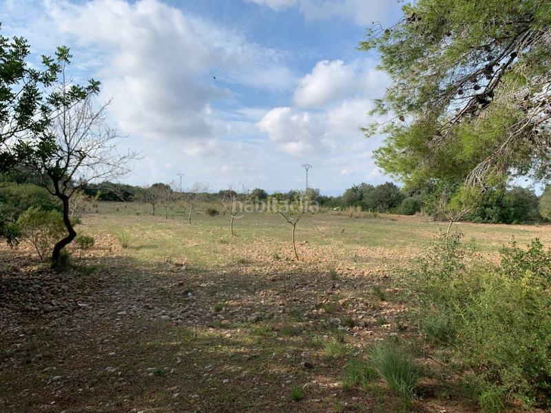 Foto 20744573-4037-49d4-a3d2-064920c48ca6. Propriété dans Partidas de Interior - Zona Rústica Vinaròs