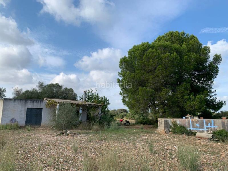 Foto 5c302bd2-abe9-4d4a-bd36-da12c9fd00e4. Propriété dans Partidas de Interior - Zona Rústica Vinaròs