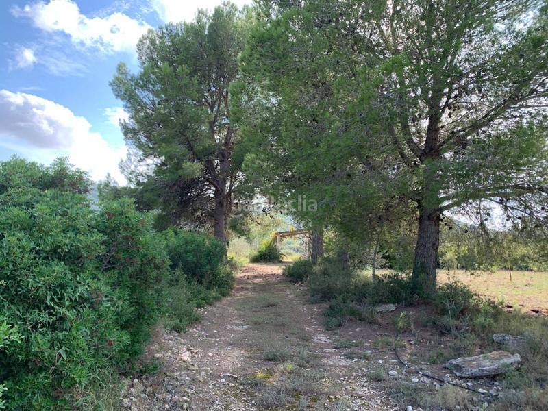 Foto 7570bae2-ffa9-4ca4-b64f-449a85d09bc0. Propriété dans Partidas de Interior - Zona Rústica Vinaròs